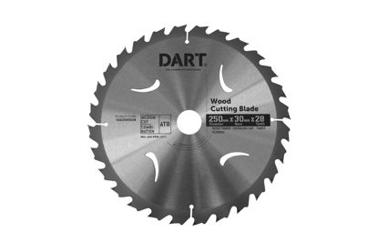 SSK2503028.jpg